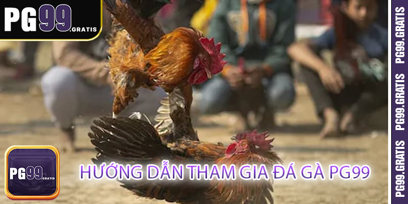 Hướng dẫn tham gia đá gà PG99