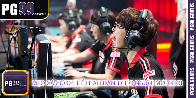 Mẹo cá cược thể thao dành cho người mới chơi